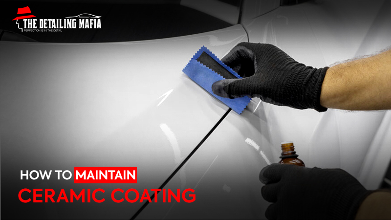 How to Maintain Ceramic Coating: Complete Care Guide & Tips